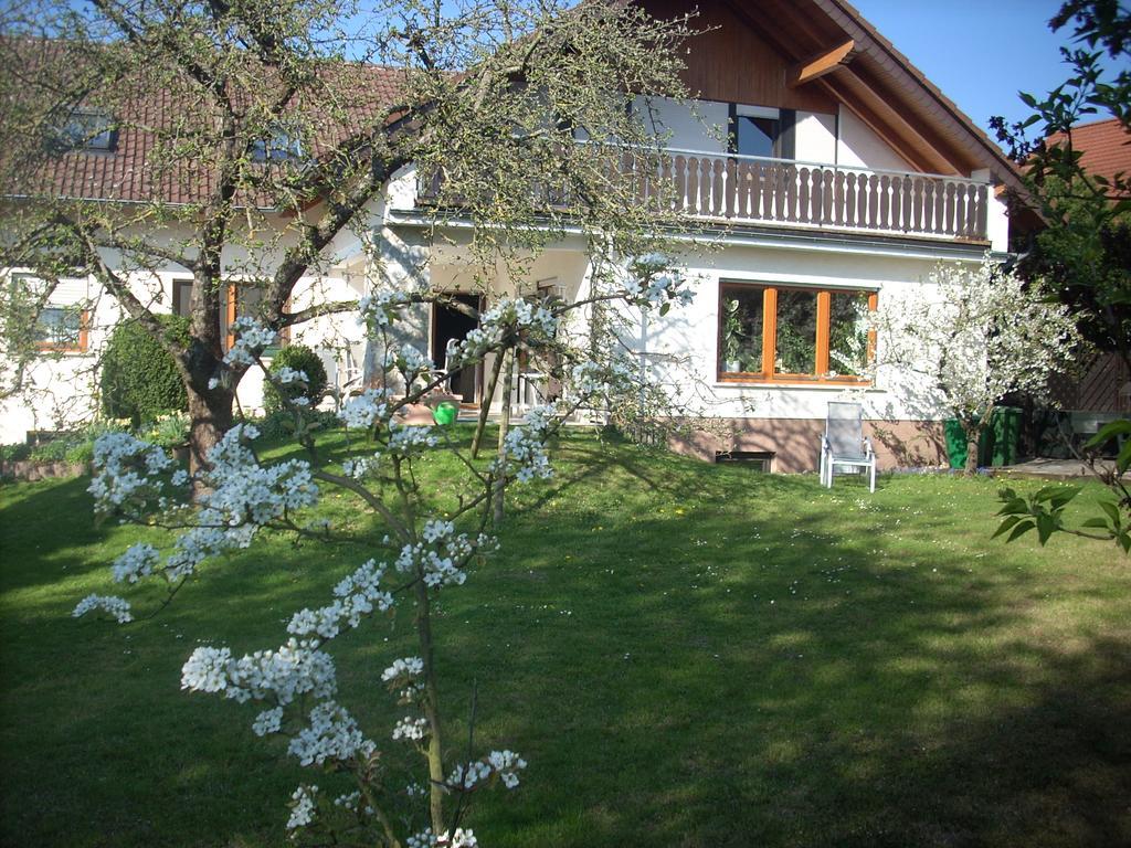 Ferienwohnung Lahntal/Taunus Huttenberg المظهر الخارجي الصورة