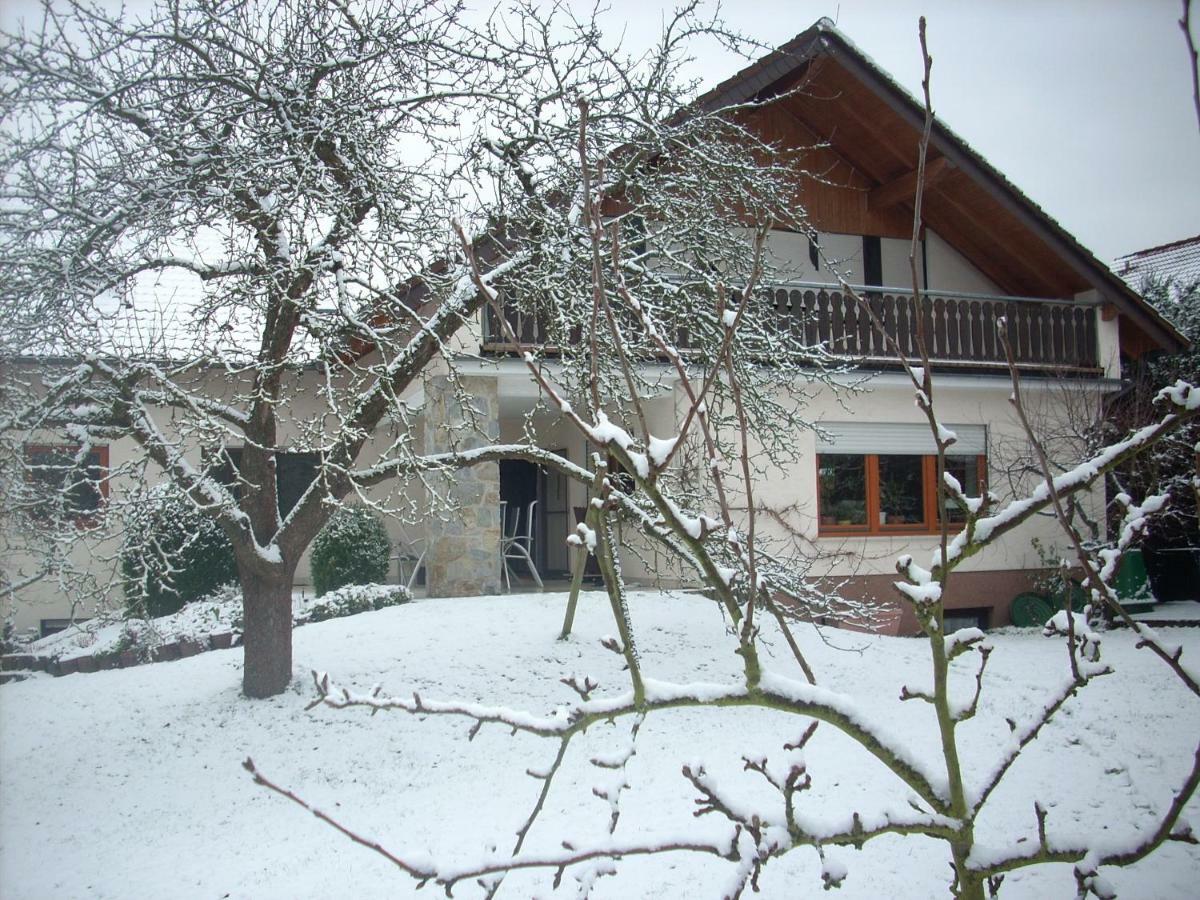 Ferienwohnung Lahntal/Taunus Huttenberg المظهر الخارجي الصورة